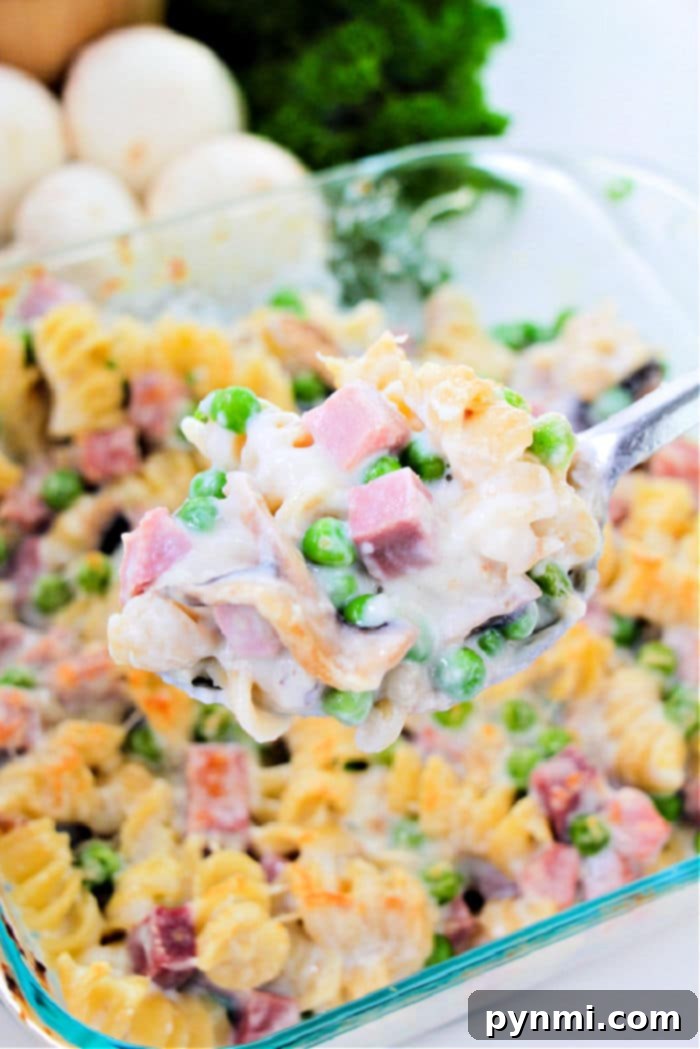 tetrazzini recipe