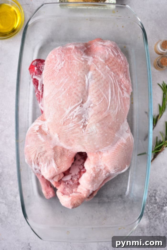 A pristine, untouched frozen duck, ready for preparation, resting on a clean surface.