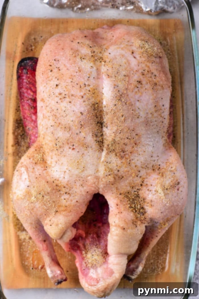 A whole frozen duck, still encased in ice, positioned within a baking dish, symbolizing the initial step of the recipe.