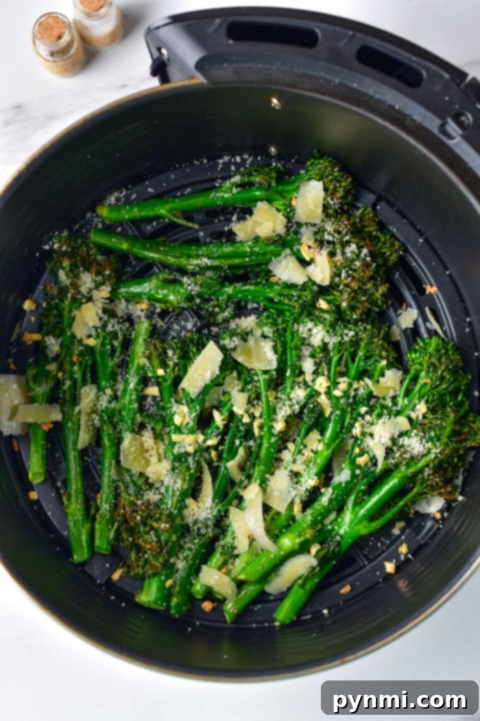 Best Broccolini Recipe