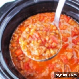 A ladle dips into the slow cooker, scooping up a hearty serving from the lentil stew recipe, brimming with vegetables.