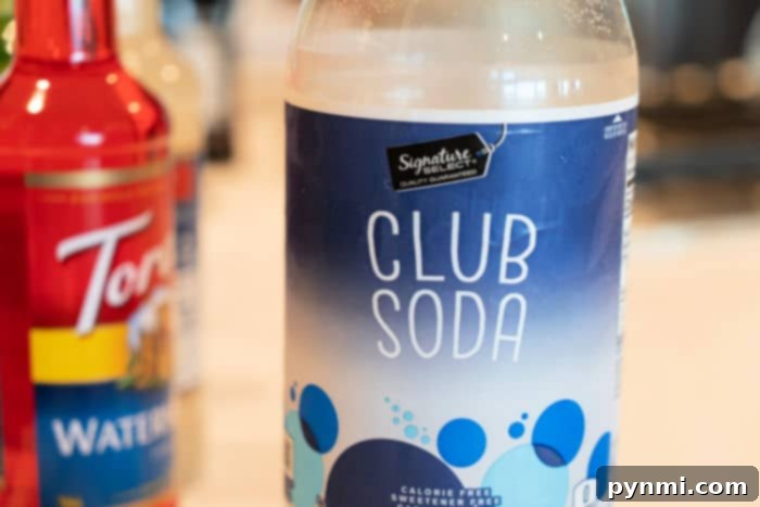 Pink Delight Punch 4 A sparkling glass of club soda, ready to add fizz to a delicious punch recipe.