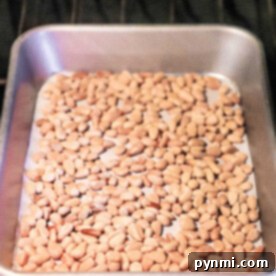 Toasting pine nuts in the oven is a straightforward process. Simply spread them on a baking tray for perfect roasting, achieving a golden brown hue and enhancing their rich, buttery flavor.