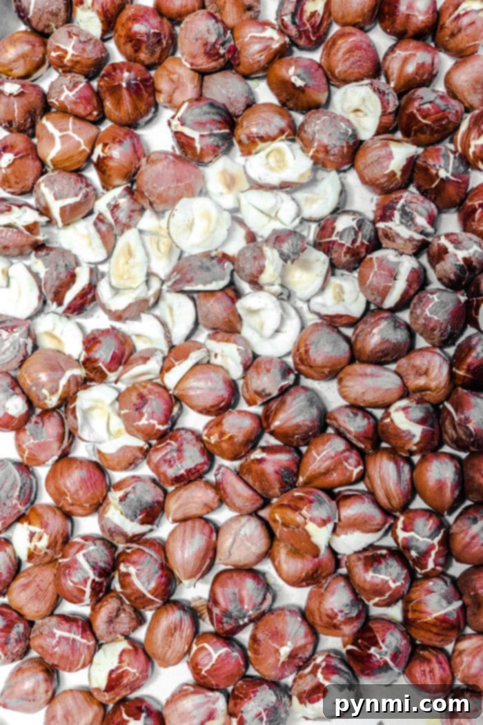 Mastering Roasted Hazelnuts 5 A basket full of hazelnuts in an air fryer, illustrating the convenient air frying method for quick roasting.