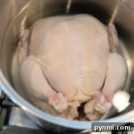 Wondering how long to boil a whole chicken? Start by placing the whole raw chicken in a large pot of water on your stovetop. Heat gently and let it simmer until perfectly cooked for tender, juicy results.