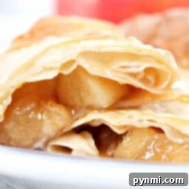 Ninja Foodi Apple Egg Rolls