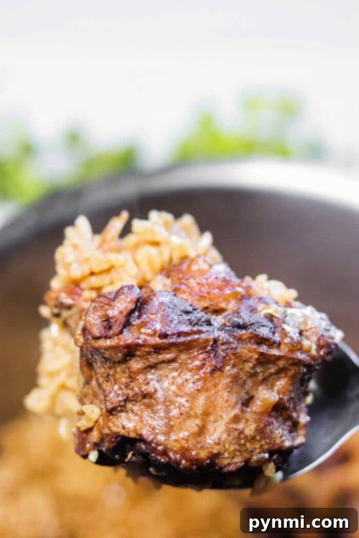 Slow-Cooked Oxtail and Rice 2 Rich and tender oxtails served with fluffy white rice in a rustic bowl, garnished with fresh herbs