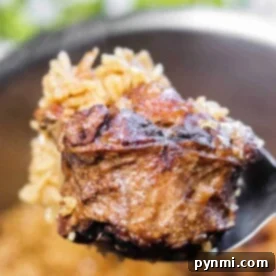 Close-up of a spoon holding a piece of braised pork with rice, reminiscent of a comforting oxtails and rice dish.