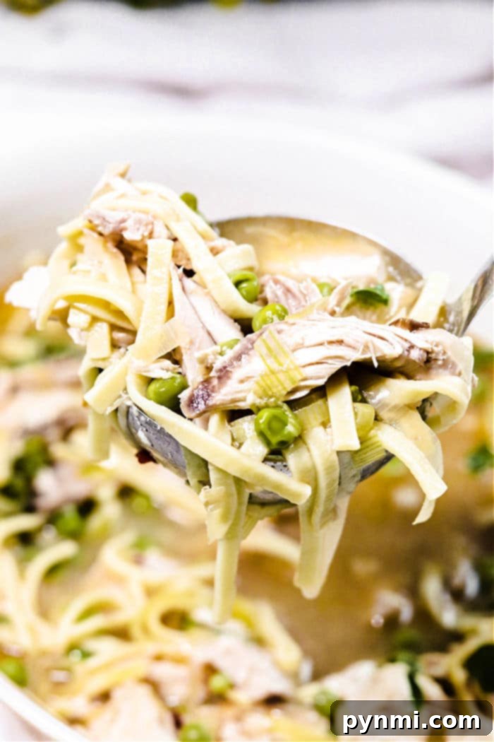 Rich Whole Chicken Noodle Soup 2 Whole Chicken Noodle Soup, steaming in a bowl