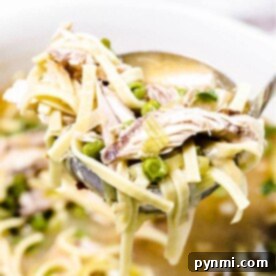 Close-up of a ladle scooping hearty whole chicken soup, brimming with noodles, peas, and tender shredded chicken.