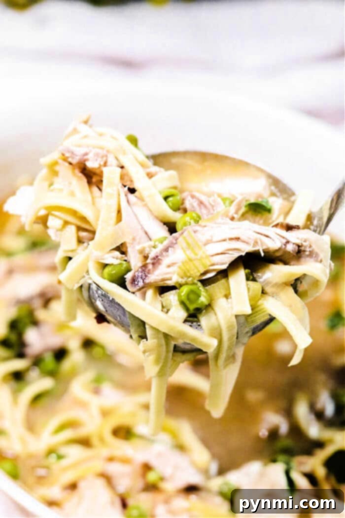 Rich Whole Chicken Noodle Soup 7 Large pot of chicken noodle soup with whole chicken