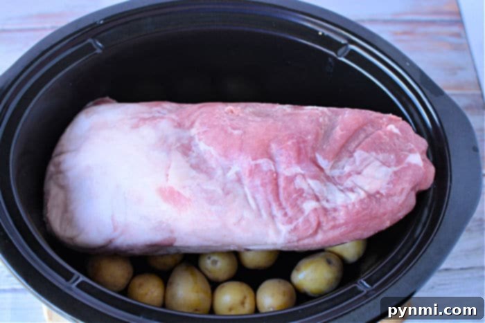 Effortless Slow Cooker Pork Loin from Frozen 5 Slow Cooker Frozen Pork Loin