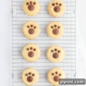 Bear Paw Cookies rest on a cooling rack, each decorated with a charming paw print design.