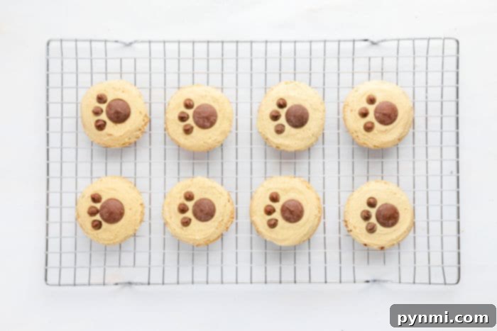 Buttery Pecan Cookie Bliss 6 Homemade Butter Pecan Cookies Recipe