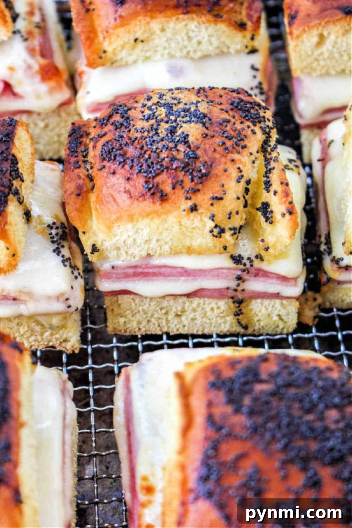 Air Fryer Sandwich Creations 2 Square Air Fryer Sandwiches with melted cheese, ham, and poppy seeds on golden bread, placed on a cooling rack.