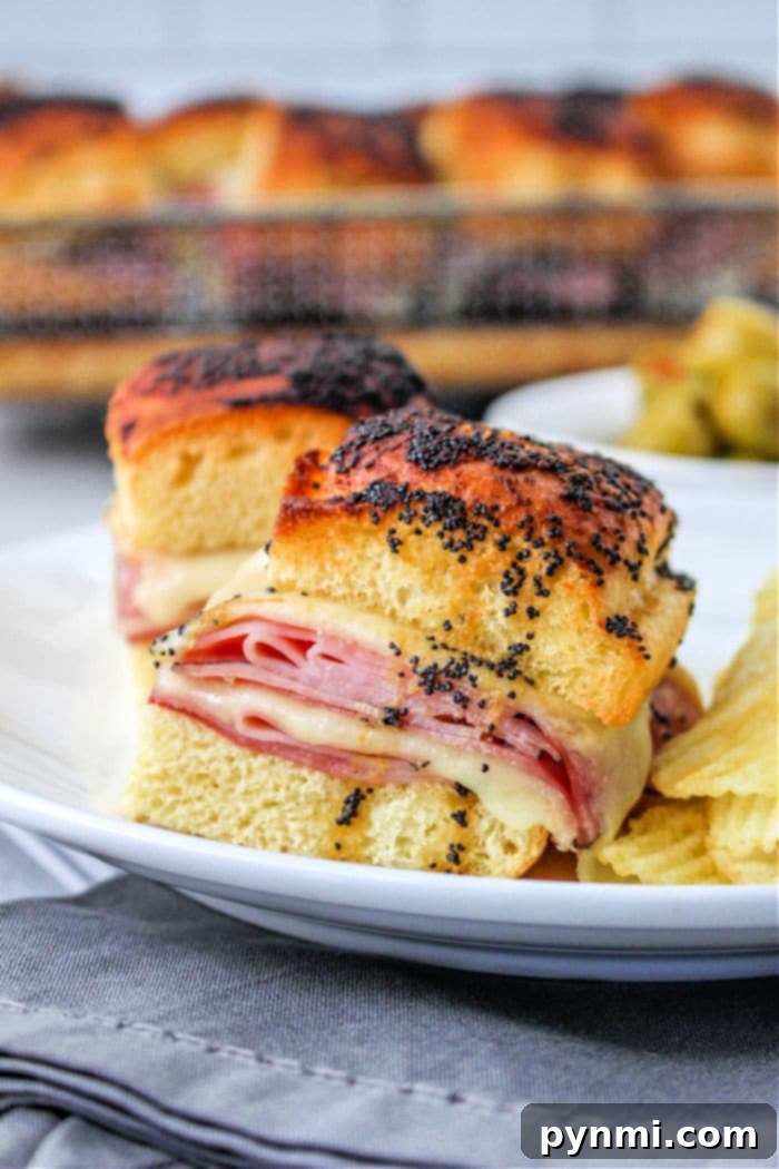 Air Fryer Sandwich Creations 8 Ninja Foodi Sandwiches