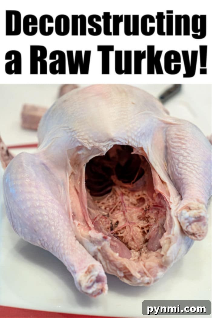 The Art of Turkey Butchering 2 Cutting up a Raw Turkey