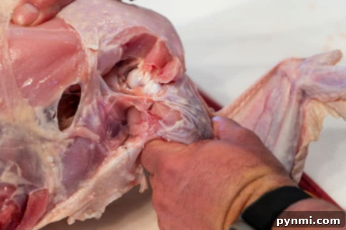 The Art of Turkey Butchering 3 How to Cut a Raw Turkey