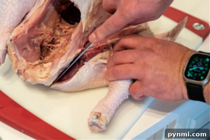 The Art of Turkey Butchering 5 How to Deconstruct a Turkey