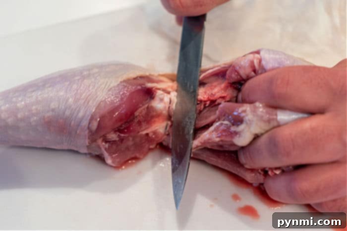 The Art of Turkey Butchering 6 Deconstructing a Whole Turkey