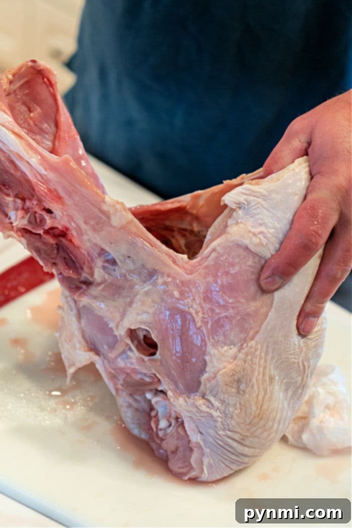 The Art of Turkey Butchering 7 Raw Turkey
