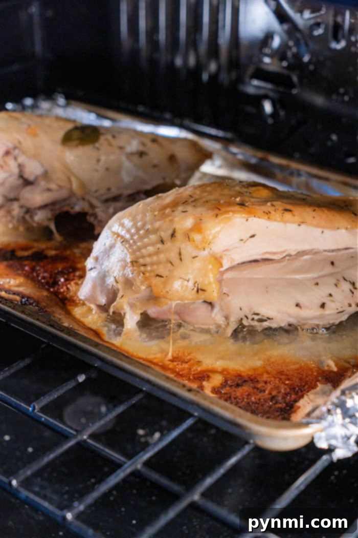 A perfectly roasted turkey breast, golden and glistening, sits invitingly on a dark background, showcasing its crispy skin and tender appearance. This image epitomizes the ideal outcome of cooking turkey breast in the oven, emphasizing its deliciousness and readiness to serve.