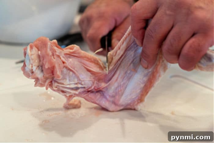 How to Bake Turkey Wings
