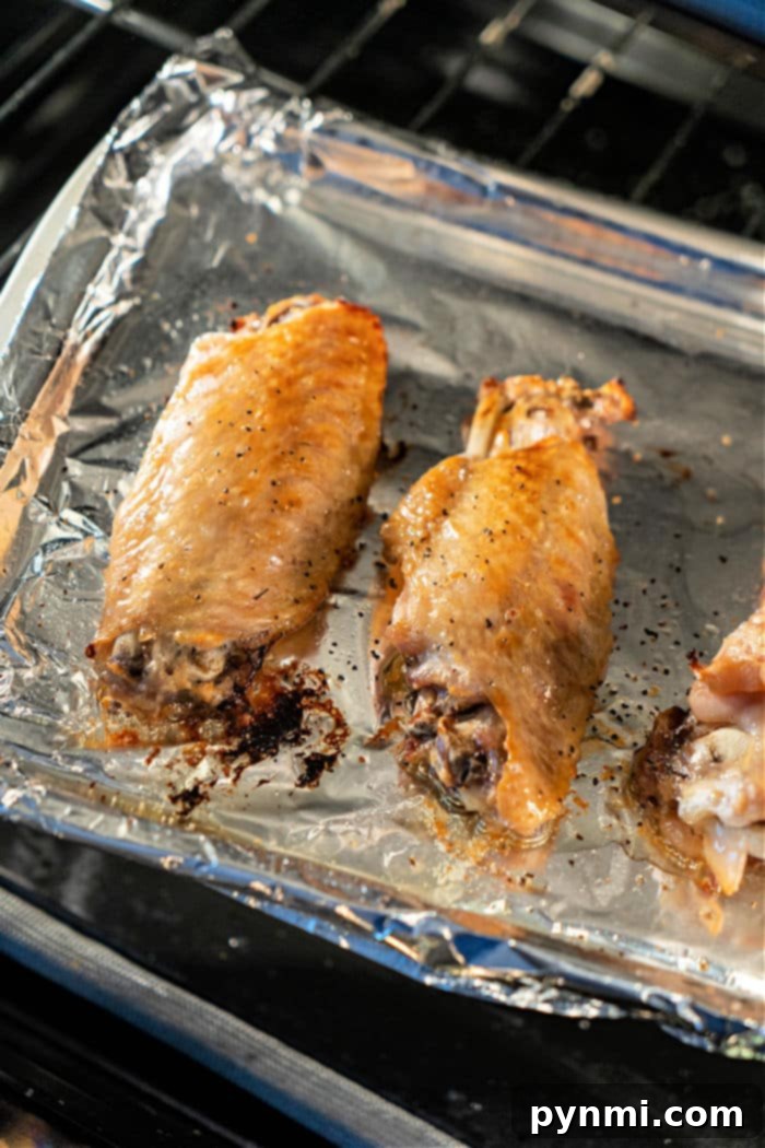 Turkey Wings in the Oven