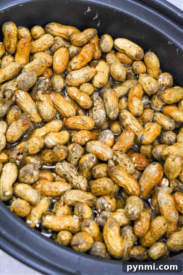 Savory Slow Cooker Peanuts 4 Slow Cooker Boiled Peanuts