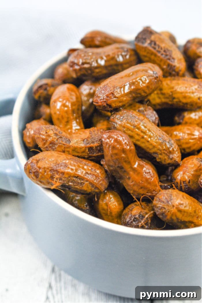 Savory Slow Cooker Peanuts 6 Instant Pot Boiled Peanuts