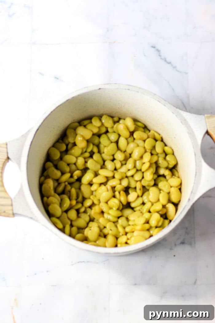 A bowl of cooked dried lima beans with a rustic blue background, highlighting the rich texture and readiness to be eaten.