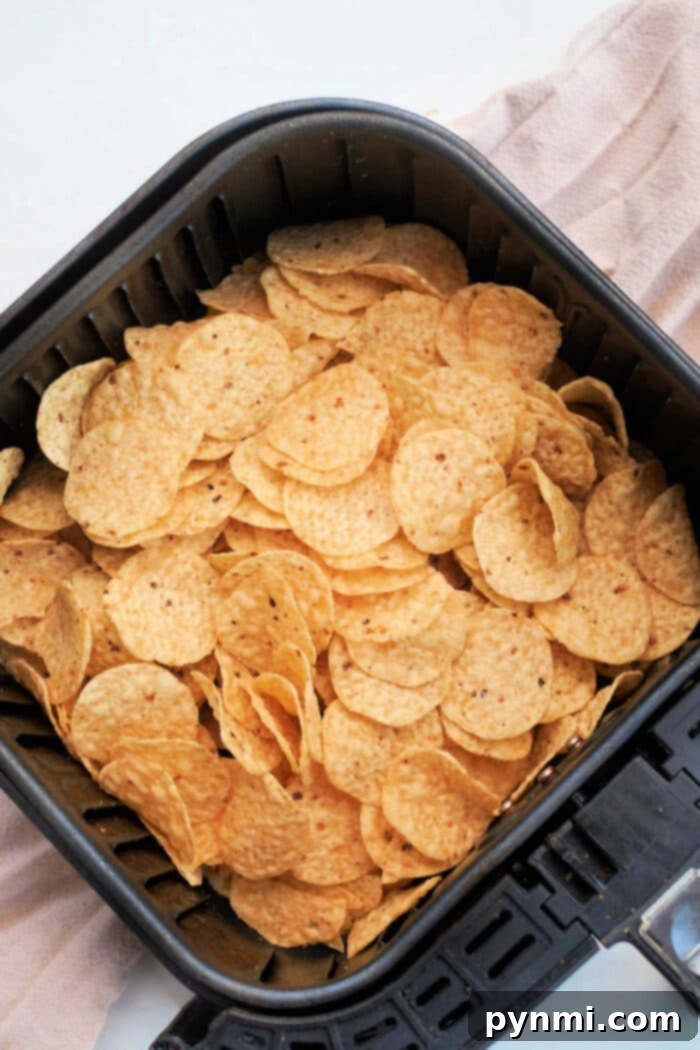 Nachos in Air Fryer, showing a freshly cooked batch of cheesy nachos ready to be served.