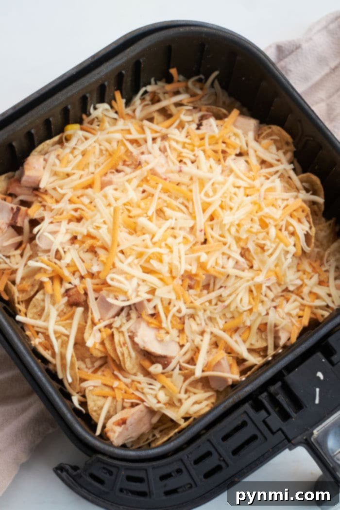 Chips and Cheese in Air Fryer, a delicious close-up of perfectly melted cheese over crispy tortilla chips.