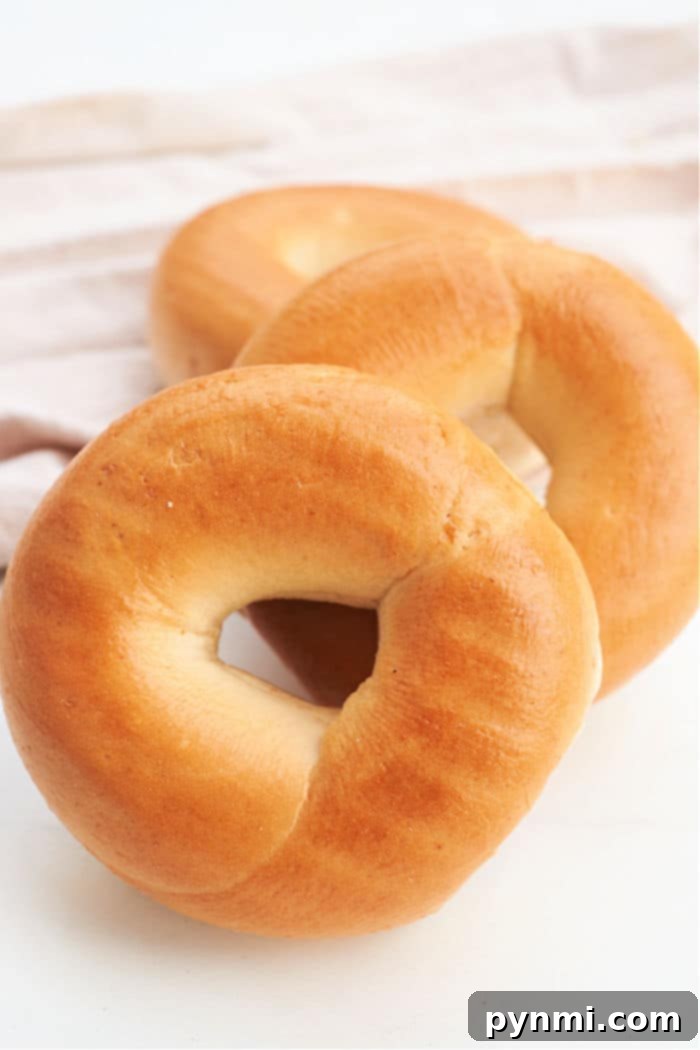 How to Toast a Bagel in the Oven
