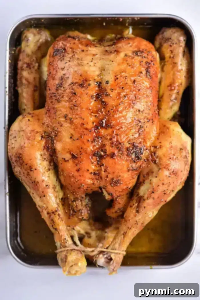 A perfectly roasted whole chicken on a baking tray, garnished with fresh herbs. Its golden-brown, crispy skin promises a delicious, juicy interior. Learn how long to bake a whole chicken at 350°F for ideal tenderness.