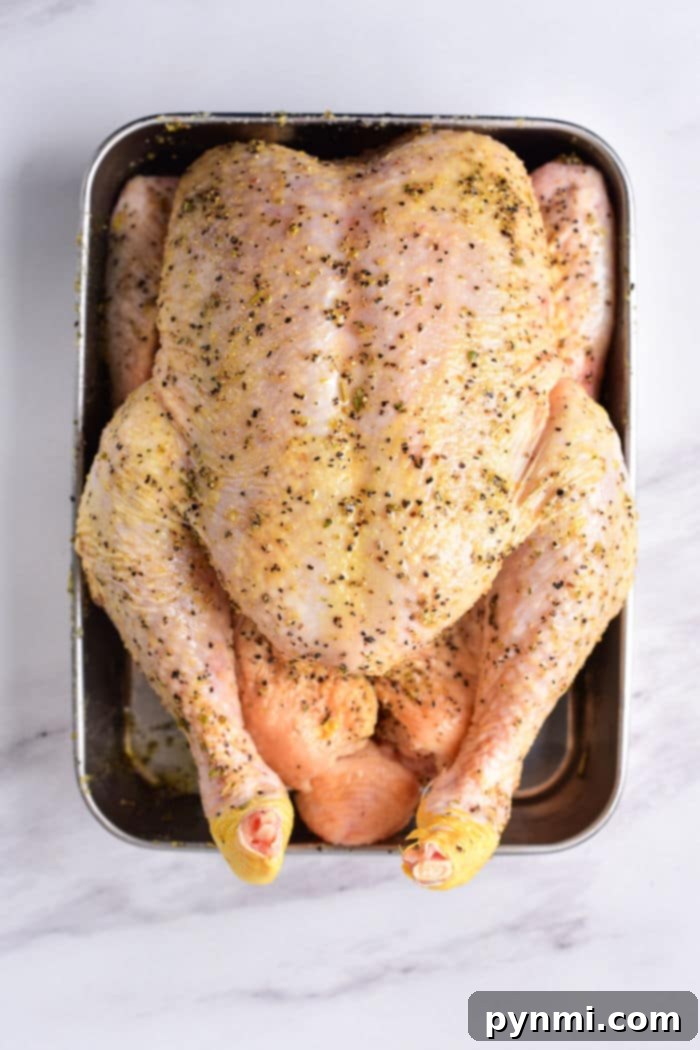 A golden-brown roasted whole chicken, glistening with juices, sitting on a roasting pan. Its legs are tied, and herbs are visible on its surface. The image prompts the question: How long to bake a whole chicken at 350 degrees F for this perfect result?
