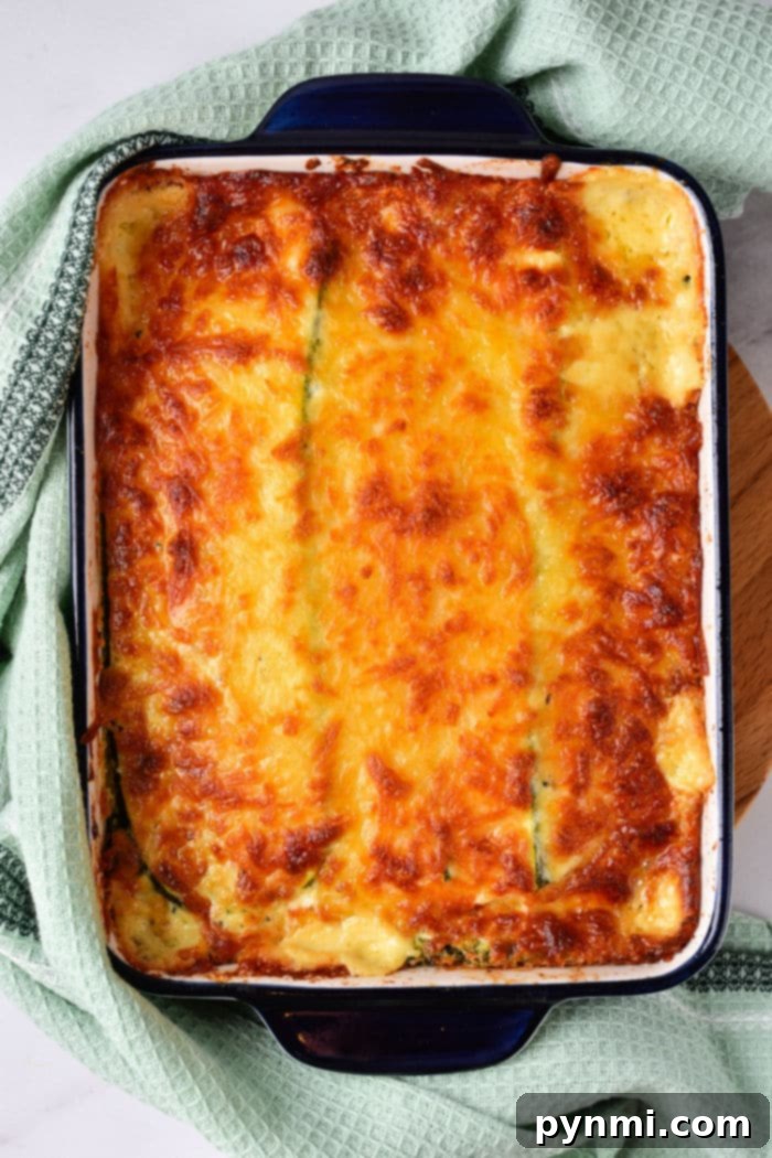Velvety Vegetable Lasagna Bake 7 Vegetable Lasagna with Alfredo Sauce