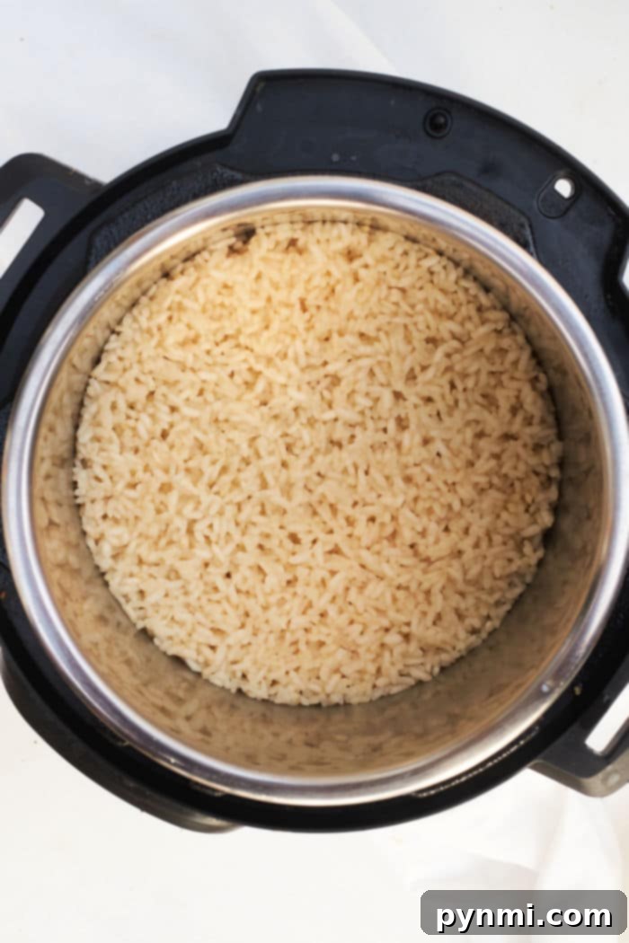 The Secret to Perfectly Cooked Arborio Rice 6 Arborio Rice Instant Pot