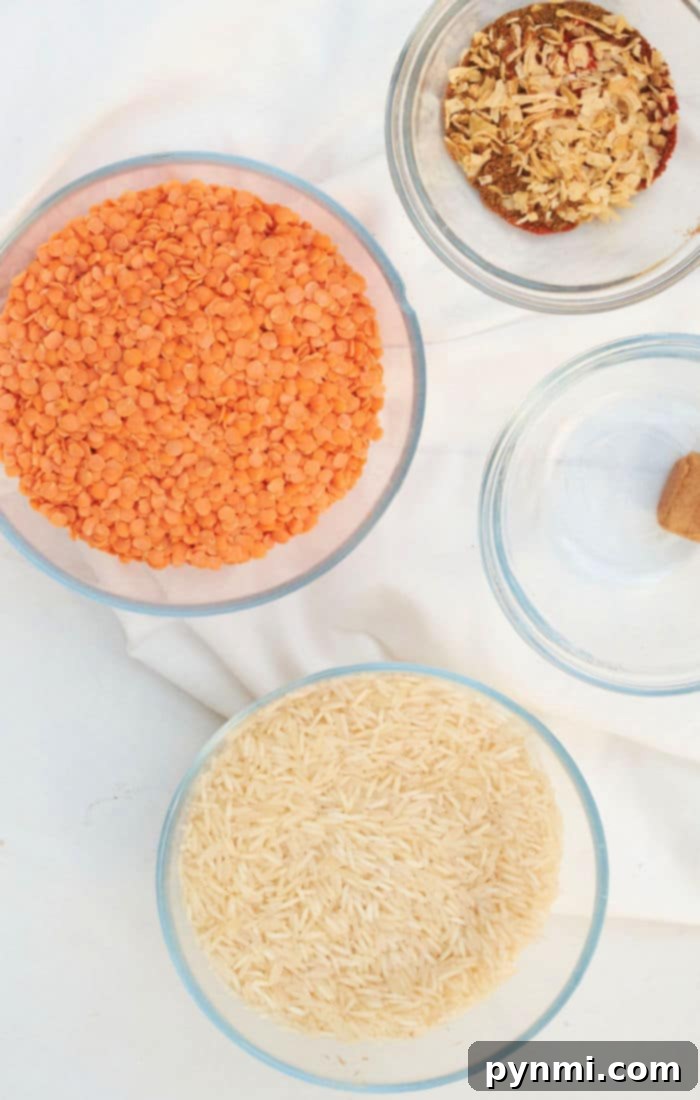 Savory Lentil and Rice Medley 3 Instant Pot filled with cooked lentils and rice, ready to be fluffed, emphasizing the ease of this quick cooking method.