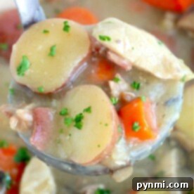 Velvety Dutch Oven Chicken Stew 7 Close-up of a ladle holding Southern creamy chicken stew with sliced potatoes, carrots, herbs, and chunks of meat simmering on the stove.