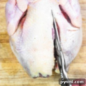 What is Spatchcocking a Chicken