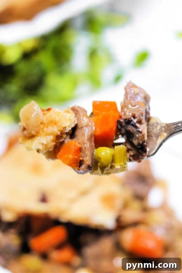 Double Crust Pot Pie, golden brown and perfectly baked, ready to be served as the ultimate comfort food.