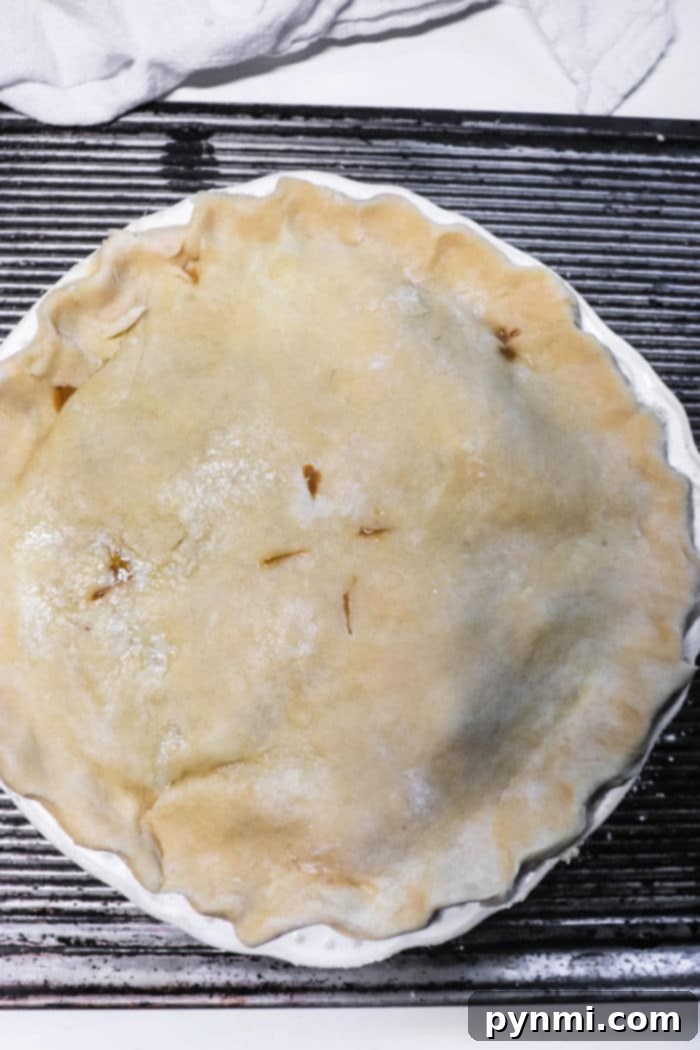 Double Crust Chicken Pot Pie, golden brown and steamy, ready to be enjoyed as a hearty family meal, showcasing its delicious appeal.