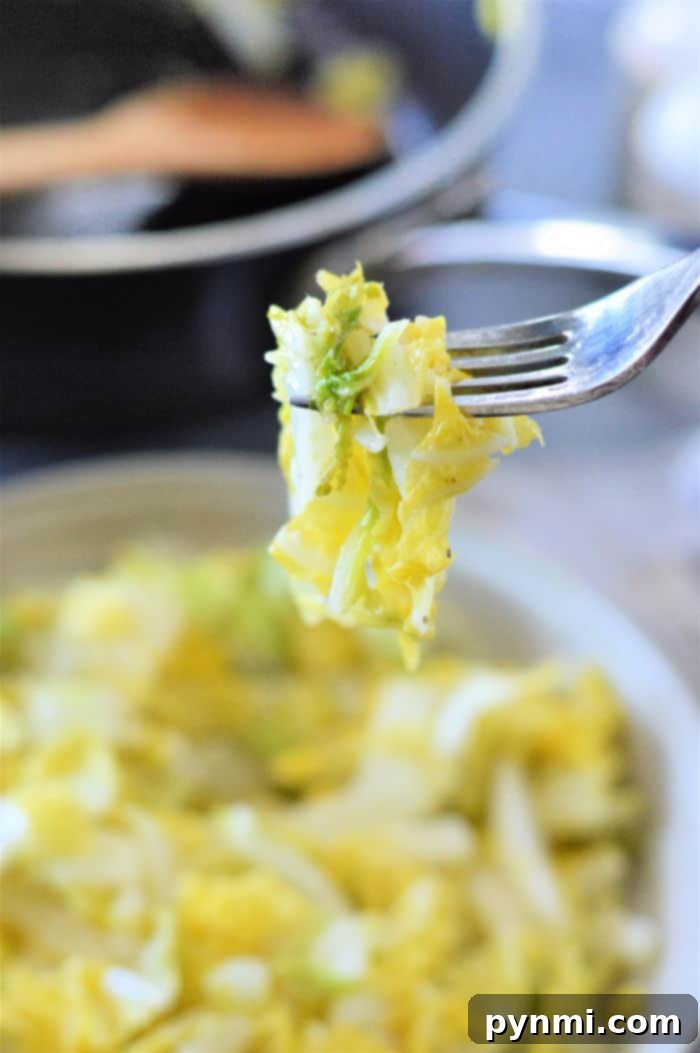 Napa Cabbage: Fresh Ideas and Recipes 7 Buttered Cabbage in a bowl, steam rising, ready to be served.