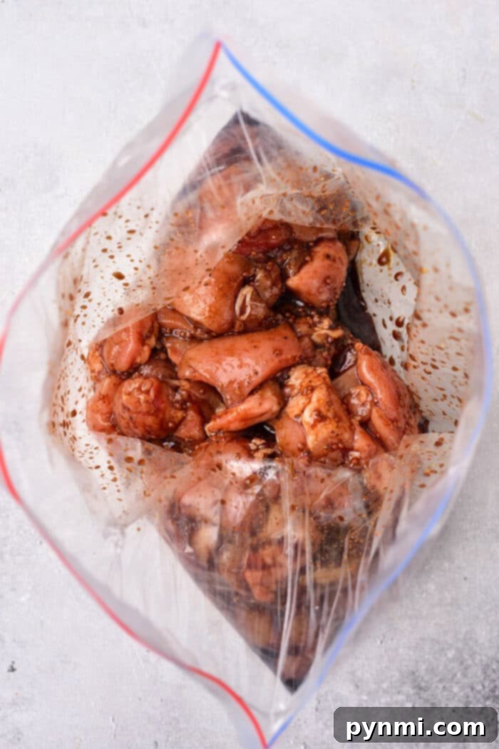 Stir Fry Marinade copy - Marinated chicken pieces in a bag