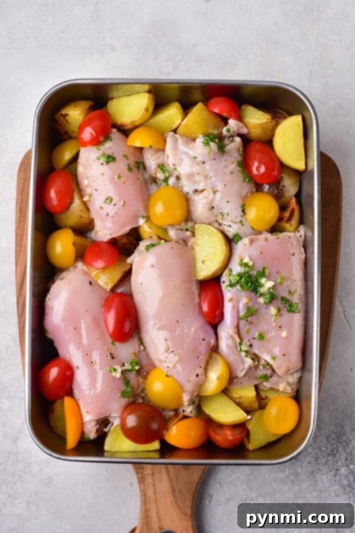 Mediterranean chicken thighs nestle among cherry tomatoes and potato slices in a roasting pan, all garnished with fragrant herbs for a delightful twist.