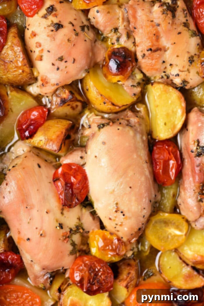 Mediterranean Chicken Thighs Oven in the baking dish