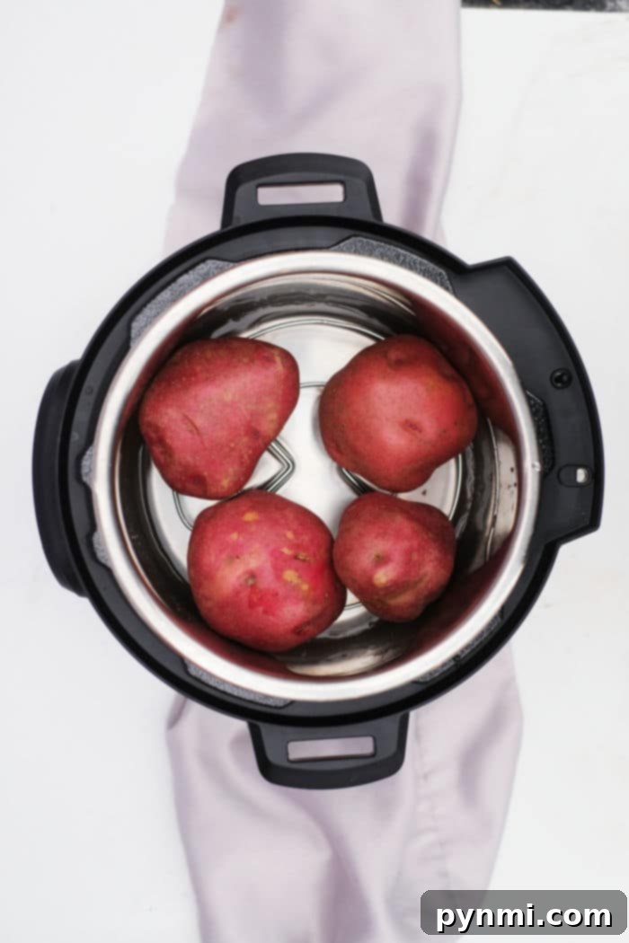 Overhead view of four Instant Pot Red Potatoes inside an electric pressure cooker on a white surface.