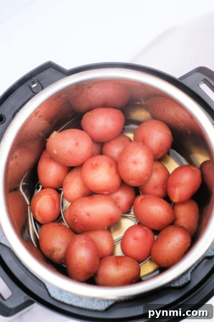 Instant Pot Roasted Potatoes
