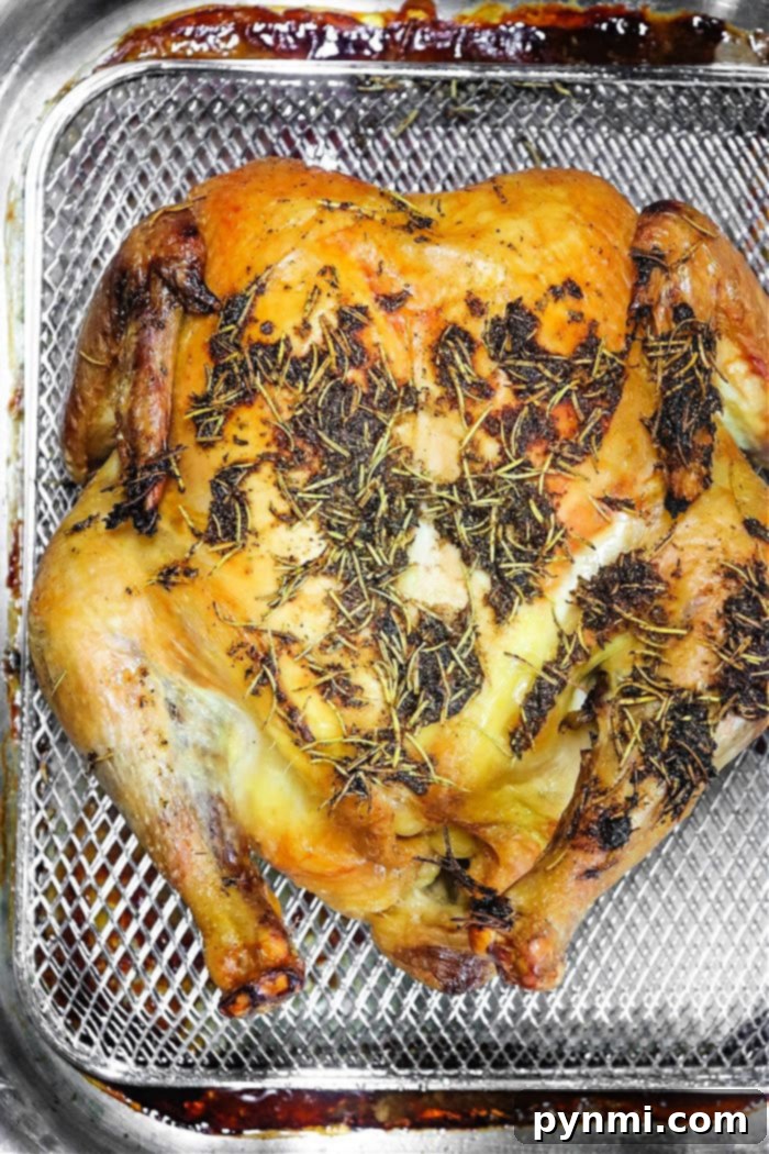 How to Season Frozen Chicken - A visual guide to making frozen chicken delicious.